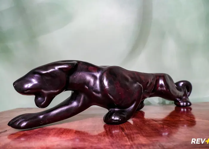 Pantera House דירה רומא